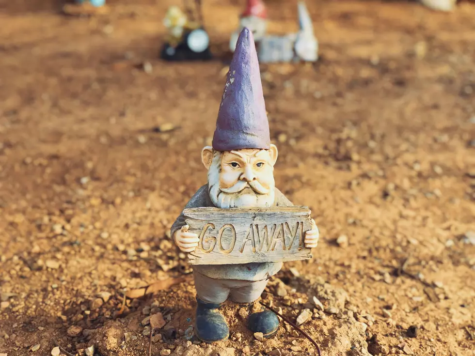 Local Honesty Shines As Lubbock Shares Their Funny Annoyances