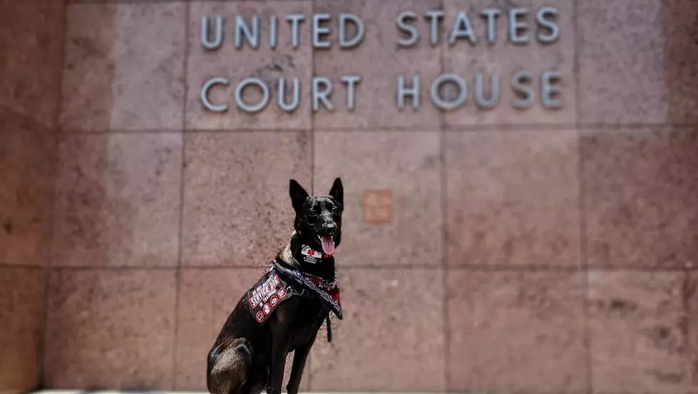 CDC Will Not Allow Temple Woman To Return Home with Service Dog